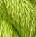 Lime - Thirteen Silk 3054