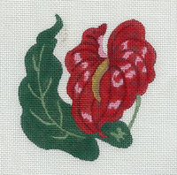 Little Boy Flower