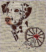 Dalmation (Liver)