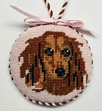 Long-haired Dachshund