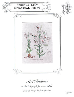 Madonna Lily Botanical Print