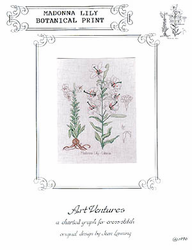 Madonna Lily Botanical Print