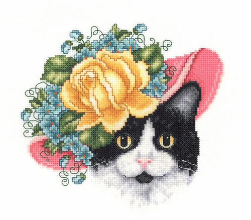 Magic Kitty