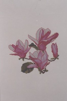 Magnolias