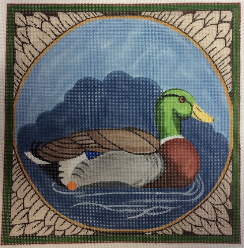 Mallard Drake