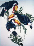 Toucan Trio
