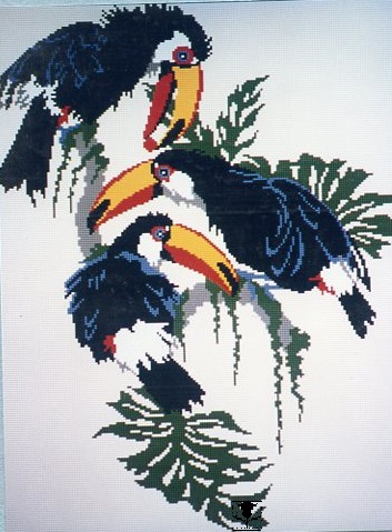 Toucan Trio