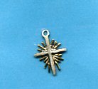 Millenium Star Charm