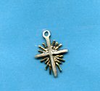 Millenium Star Charm