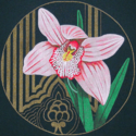 Ming Orchids