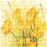 Mini Buttercups