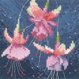 Mini Fuchsia