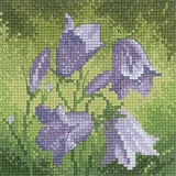 Mini Harebell