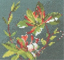 Mini Honeysuckle