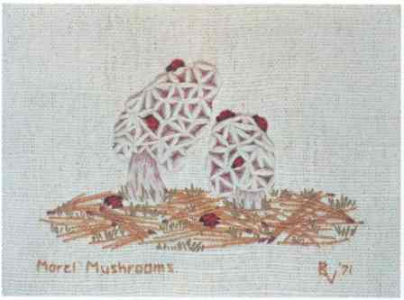 Morel Mushrooms