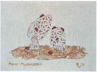 Morel Mushrooms