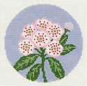 Mountain Laurel