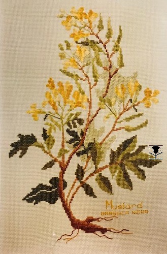 Mustard
