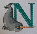 N Narwhale