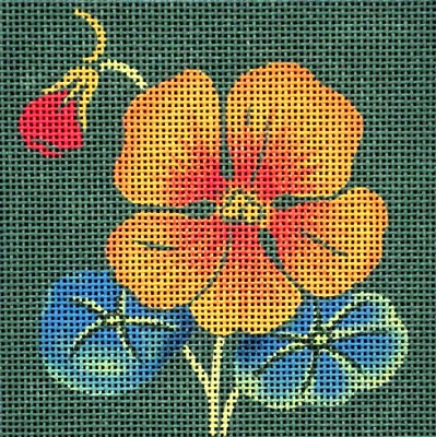 Nasturtium