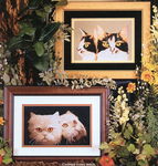 Naturally Cats II