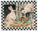 Netherland Dwarf Rabbits