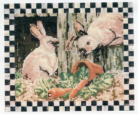 Netherland Dwarf Rabbits