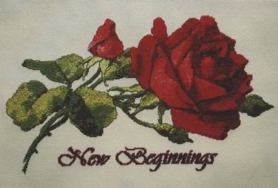 New Beginnings