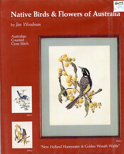 New Holland Honeyeater & Golden Wreath Wattle