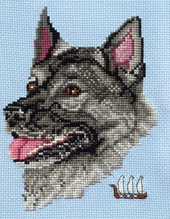 Norwegian Elkhound
