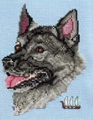 Norwegian Elkhound