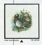 Pair Of Ducks