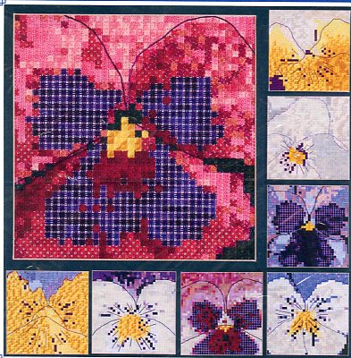 Pansy Portraits