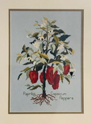 Paprika