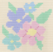 Pastel Flowers Kit