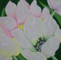 Pastel Tulips