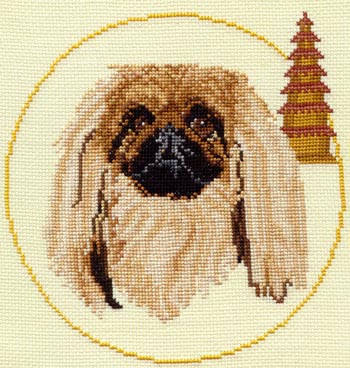 Pekingese