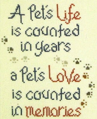 Pet Memories