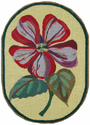Petunia