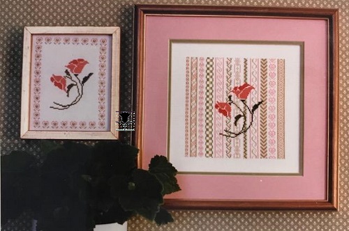 Pink Poppies