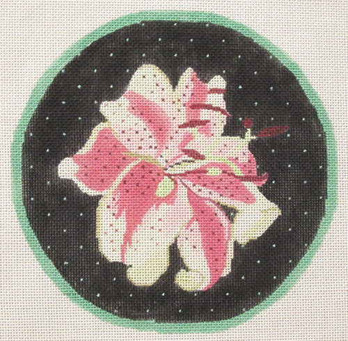 Pink and Yellow Flower