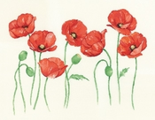 Poppies