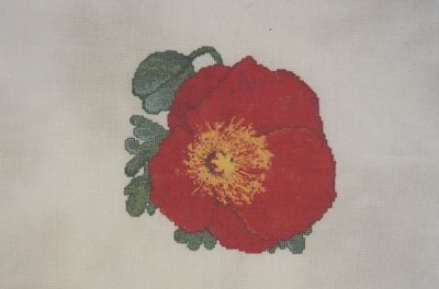 Poppy Love