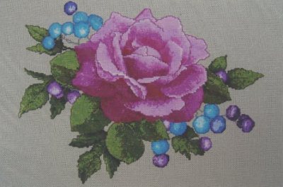 Porcelain Berries