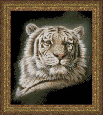 Portrait Of A White Tiger