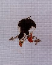 Puffin Drinking