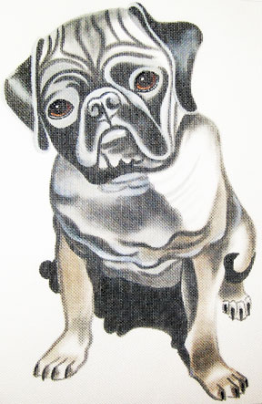 Pug
