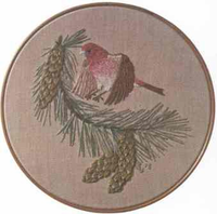 Purple Finch