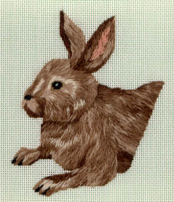 Rabbit - Click to enlarge Rabbit