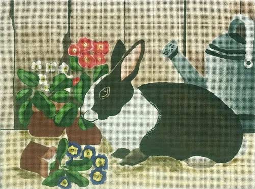 Rabbit in Potting Shed